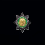 LVES SM BADGE